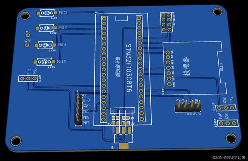 基于STM32的智能投喂器设计与实现